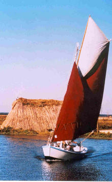 Association Seudre et mer