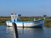 Nature-09_2004-04