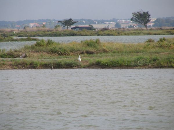 Nature-09_2004-33