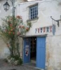Fleurs des champs
